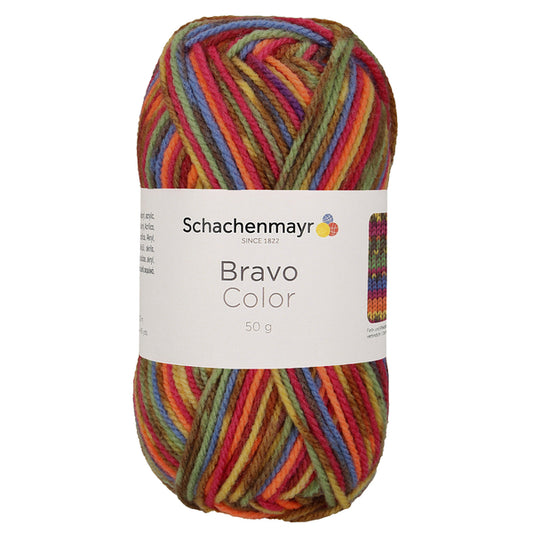 Schachenmayr Bravo Color 50 g