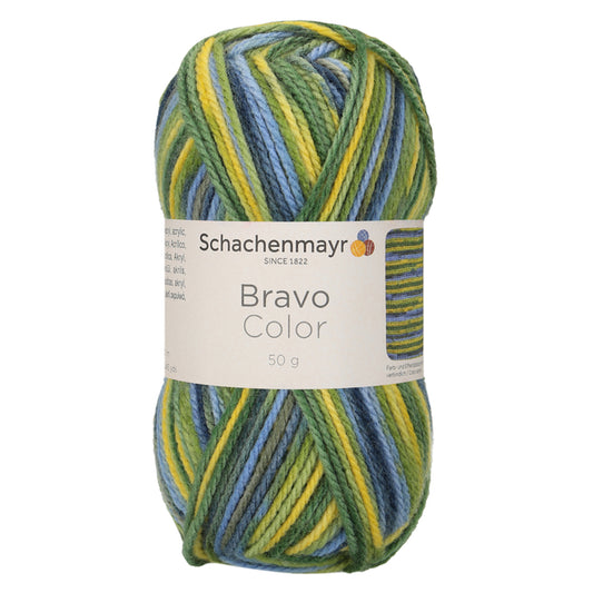 Schachenmayr Bravo Color 50 g